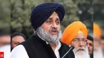 SAD urged to lead joint effort to safeguard Punjab’s interests