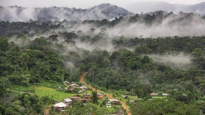 Rainforest villages in French Guiana cut off after loss of airline