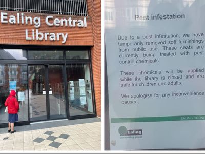 Bedbug outbreak spreads to London library as parents and children forced to leave immediately