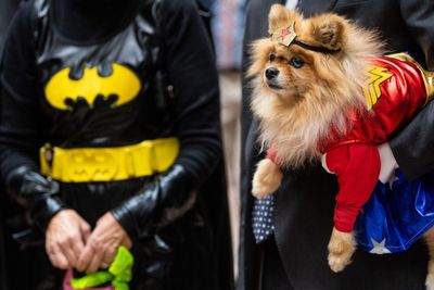 Congress goes to the dogs again for Halloween
