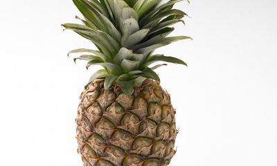 Pineapple loses its crown: Sainsbury’s sells leafless version to cut waste