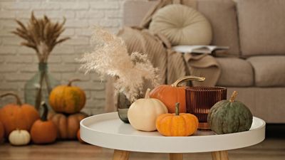 9 eco-friendly, zero-waste, brilliant ideas for ways to use your leftover jack-o'-lanterns after Halloween