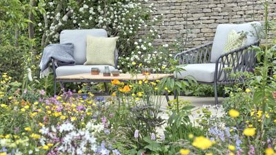 Health and wellbeing to be key themes for show gardens at 2024 RHS Chelsea Flower Show