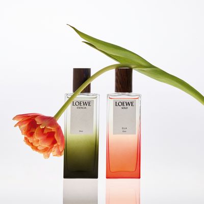 Loewe Just Expanded Their Fragrance Range With Two New Elixirs