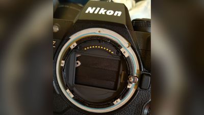 My experience with Nikon Professional Services was anything but pro!
