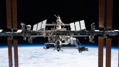 Can humans reproduce in space? Mouse breakthrough on ISS a promising sign