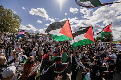 ‘The Palestine exception’: why pro-Palestinian voices are suppressed in the US