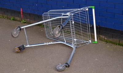 Dominic Cummings has every right to badmouth Boris Johnson. But please stop picking on shopping trolleys