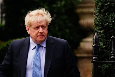 Dominic Cummings: Boris Johnson said 'British state had totally failed'
