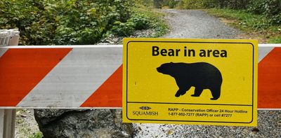 Climate change is affecting bears, and humans need to learn more to avoid conflicts