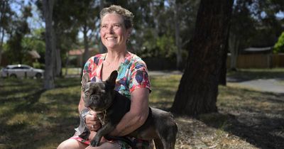 'This crazy, dark character': Canberra mother treats complex PTSD with comedy