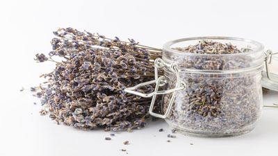 How to dry lavender and enhance its fragrance – 4 simple steps