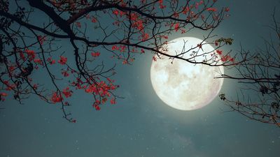 Does a full moon cause bad sleep?