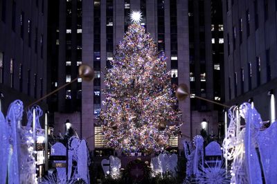 Yes, they've already picked the Rockefeller Center's giant Christmas tree for 2023