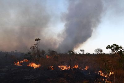 The significance of "fire-smart farming"