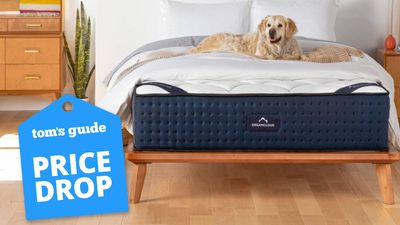 I’m a mattress writer – these are the 3 best early Black Friday king mattress sales under $1,000