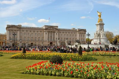 Covid experts to receive honours at Buckingham Palace