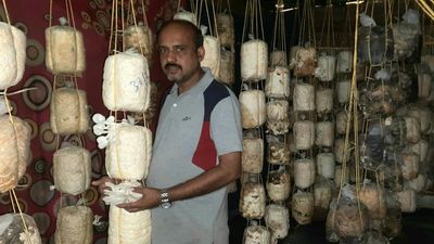 This Kerala village bets big on mushroom coffee brand