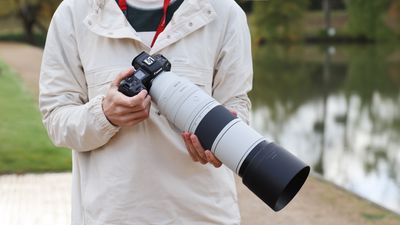 Canon RF 200-800mm f/6.3-9 IS USM review: the most souped-up superzoom ever?