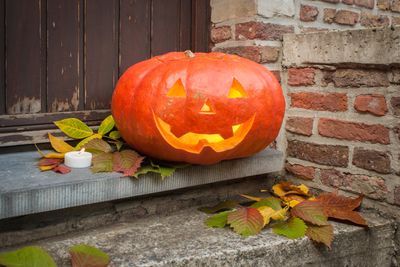 'Don't just throw them away!' – 5 clever ways to recycle your leftover pumpkins in your backyard