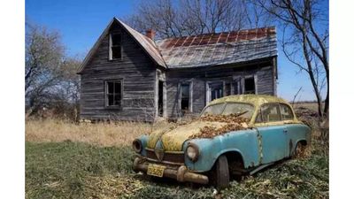 Brain Challenge: Can you find the hidden fox within 10 seconds?