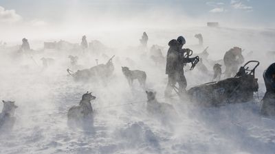 Are you tough enough for an epic dog sledding adventure at -30°C? This is your chance