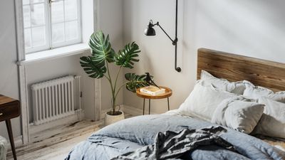 Small bedroom window ideas that will completely change the feel of your space, according to designers