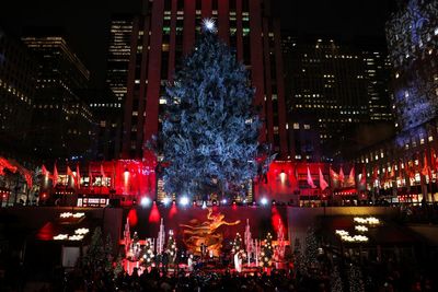 What is the history of the Rockefeller Christmas Tree? The 2023 pick unveiled