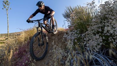 Giant's new and more capable Stance could redefine the budget full-sus MTB – I can't wait to ride one!