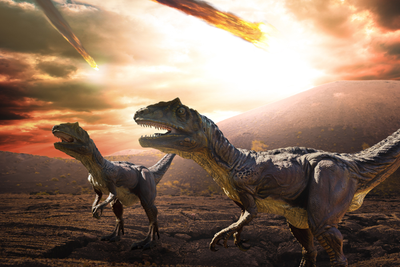 Scientists believe they have solved the mystery behind the extinction of dinosaurs