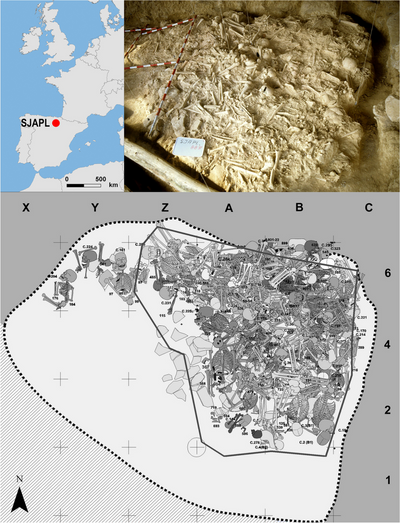 5,000-Year-Old Skeletons Reveal Earliest Large-Scale Warfare In Europe