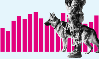Dogs with jobs: data on canine employment in the government