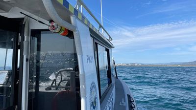 Body of missing swimmer found days after disappearance
