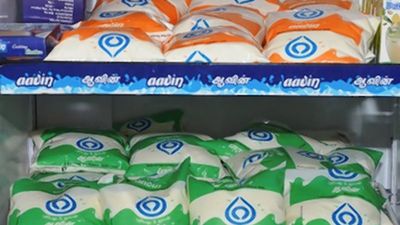 Vitamin B, D2 to be added to Aavin milk: T.N. Dairy Minister
