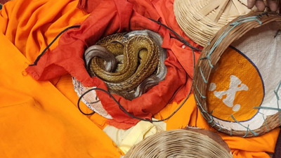 Photos: Bigg Boss winner and YouTuber Elvish Yadav rave party saga