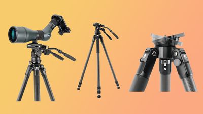 Vanguard sets new heights with its tallest and most stable video tripod ever