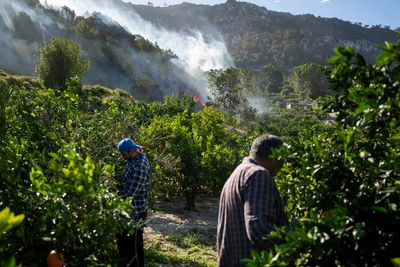 Winds from Storm Ciarán whip up a wildfire in eastern Spain as 850 people are evacuated