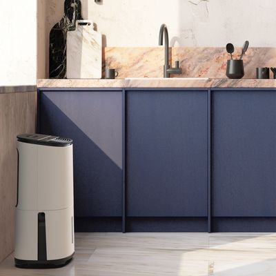 How to choose a dehumidifier for the kitchen – 7 things to consider before buying, according to experts