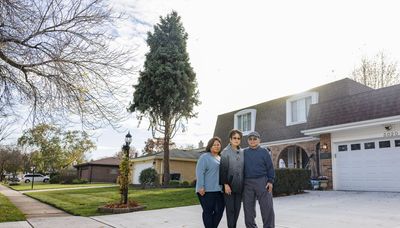 The given tree: Grateful immigrant family donates blue spruce to the city for Christmas
