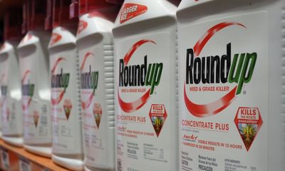 ‘It’s an abomination’: battle brewing over proposed US laws to protect pesticide companies