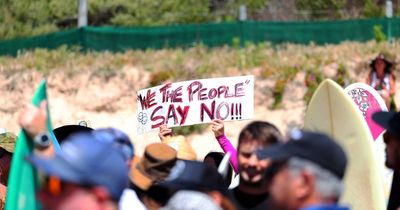 Experts back whales and wind farms to coexist, so why don't locals?