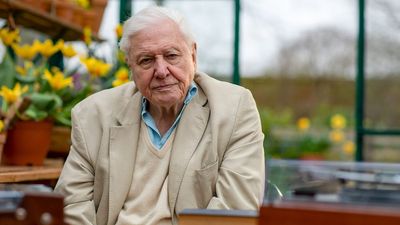 How to watch Attenborough's Wonder of Song online or on TV