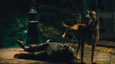 Chad Stahelski Shares A Ridiculous Story From John Wick: Chapter 4 That Involves Dog Pee And Bullet Holes