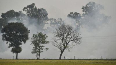 Haryana Minister slams Punjab govt. over stubble burning; AAP hits back