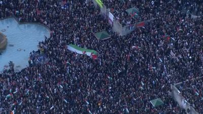 Arrests made following pro-Palestine protest in central London