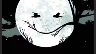 THIS optical illusion reveals if you are super kind or super scared to open up