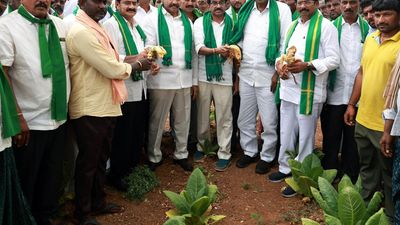 Govt. should declare 470 mandals in Andhra Pradesh as drought-prone, demands TDP