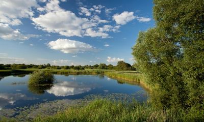 ‘A game-changer’: the 9,000 acre project reclaiming the Fens for nature