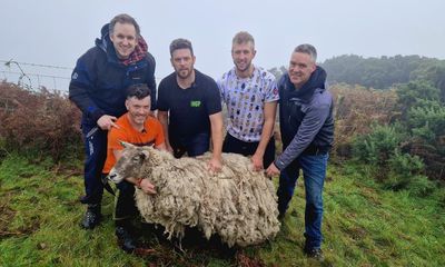 Britain’s ‘loneliest sheep’ rescued after two years at foot of cliff