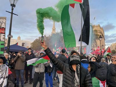 29 arrests and police injured after thousands gather in support of Palestine